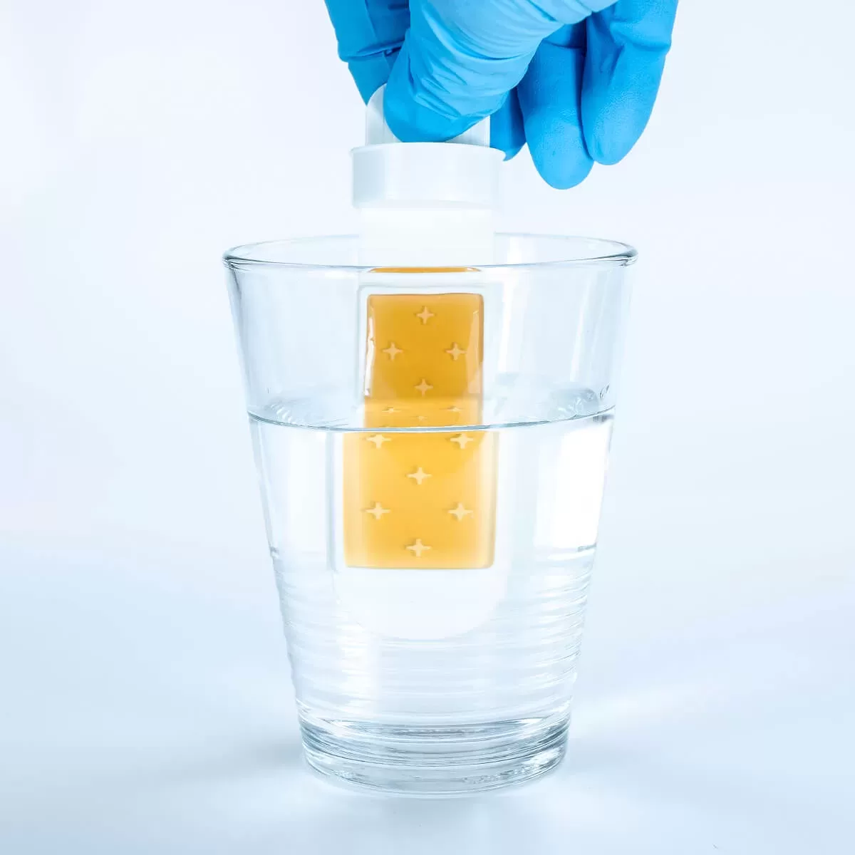 Dipslides Bakteri Test Kiti